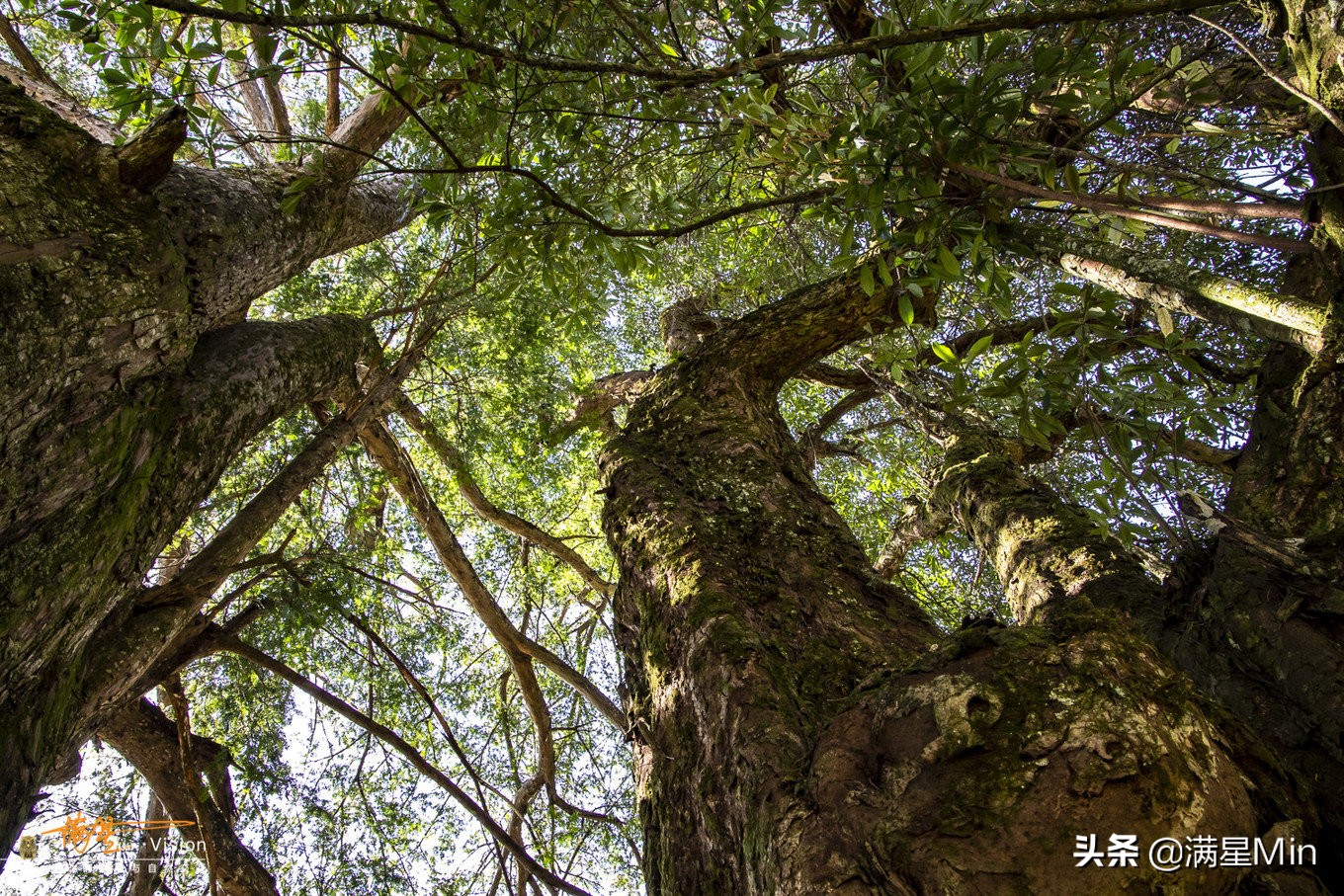 郴州民宿《那山那水》,郴州那山那水酒店