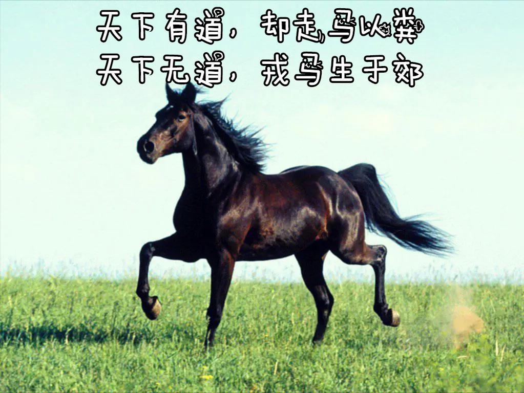 老子第二十四章启示感悟,老子五章其中一章感悟