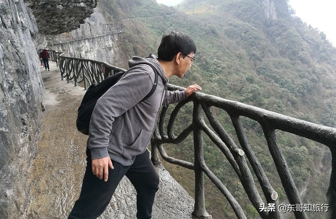 重庆金佛山夏季旅游攻略,重庆金佛山一日游攻略夏季