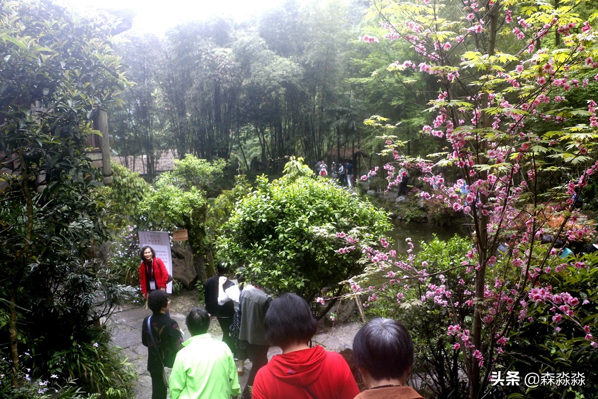 地下洞穴世外桃源,世外桃源地下