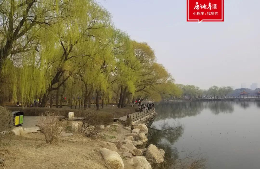 不一样的画风,不一样的风格画风