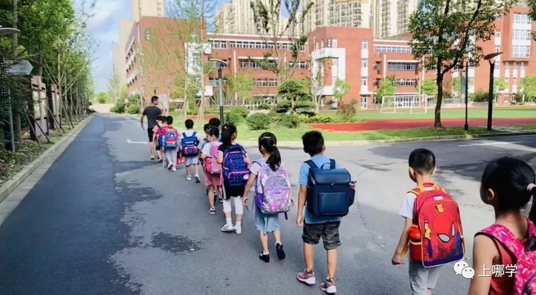 上海最好的十大民办初中,上海各区的顶级初中和一流初中