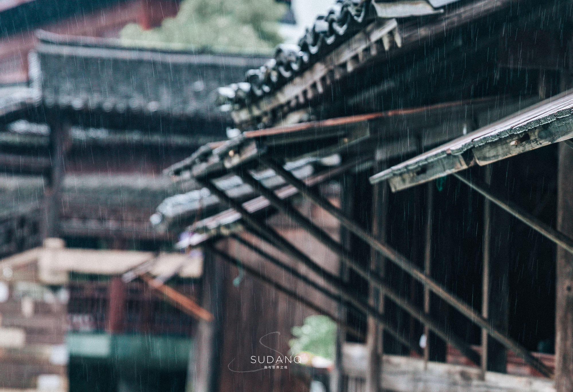 乌镇似水年华酒吧奶茶,乌镇似水年华下午茶