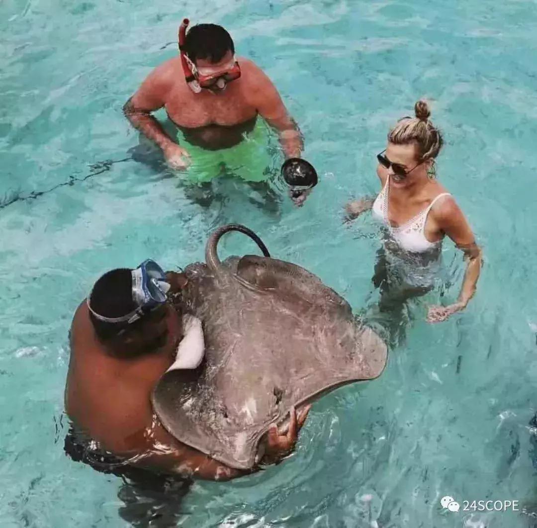 全球第一海岛大溪地,大溪地哪些岛值得去旅游