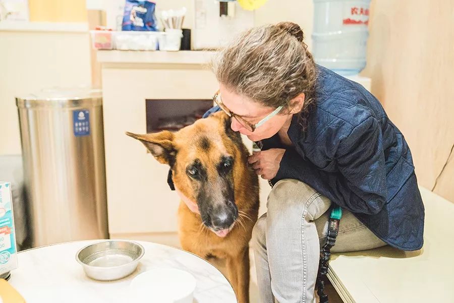 救流浪狗的真实记录,一外国人来中国救助流浪狗