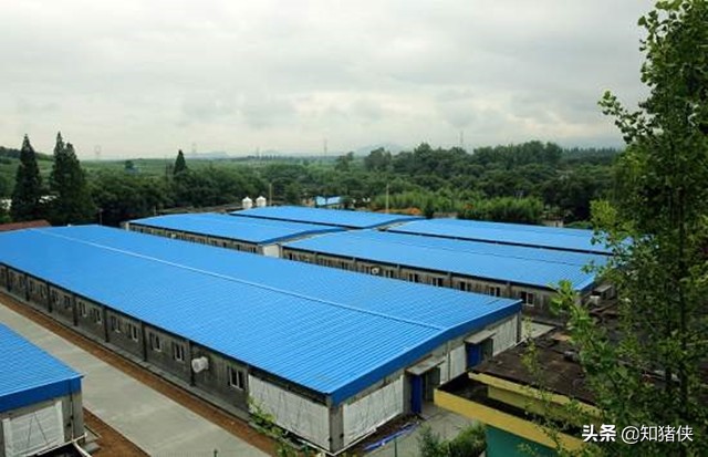 猪场场区分区图,猪场场区绿化平面图