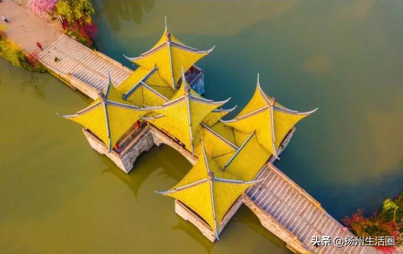 火了！扬泰机场又出名了