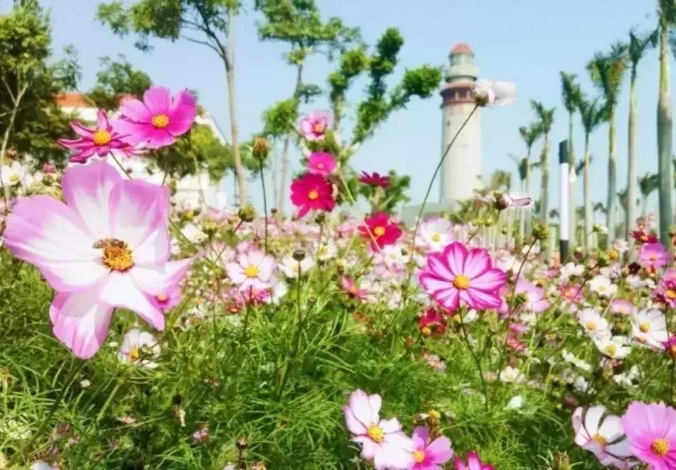 湖里一日游去哪玩,湖里玩的地方推荐