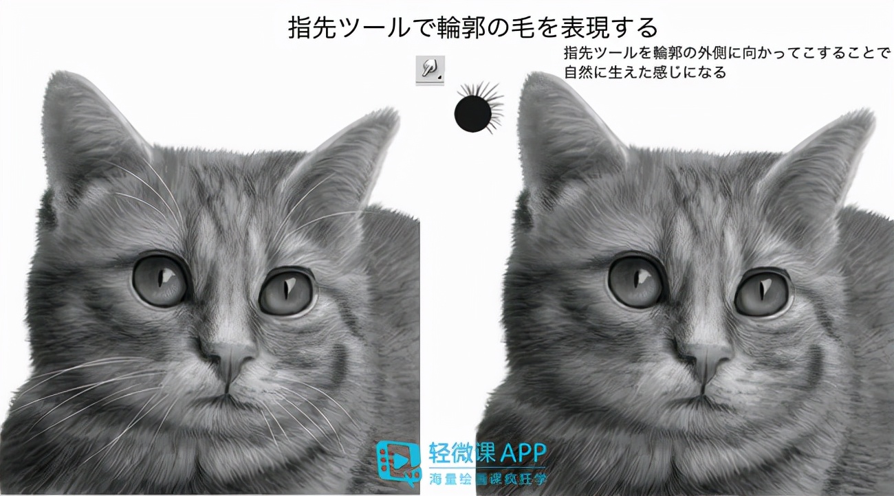 最最简单的动物画法,小动物怎样画出不同动作