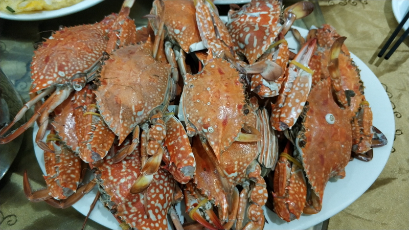 20200906骑行中国第一大火山岛——硇洲岛