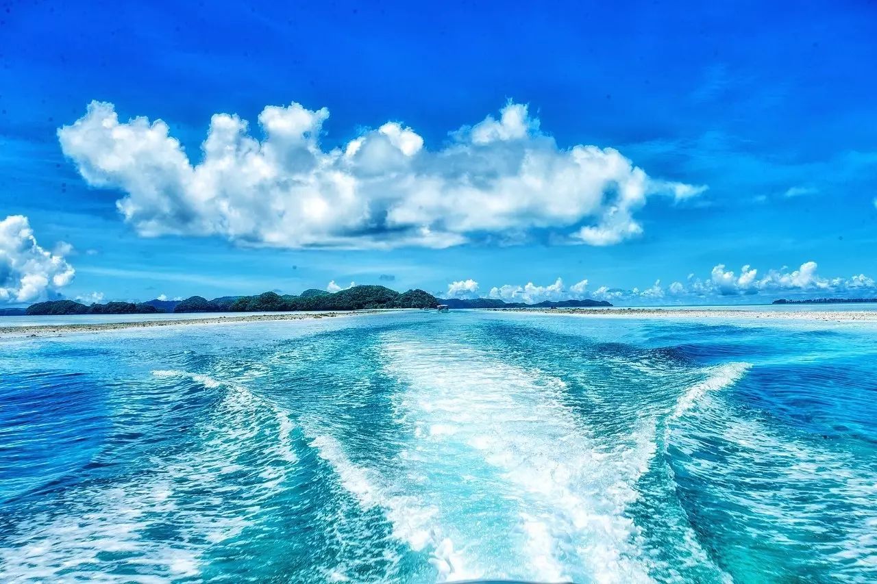 帕劳归来不看海谁说的,帕劳归来不看海