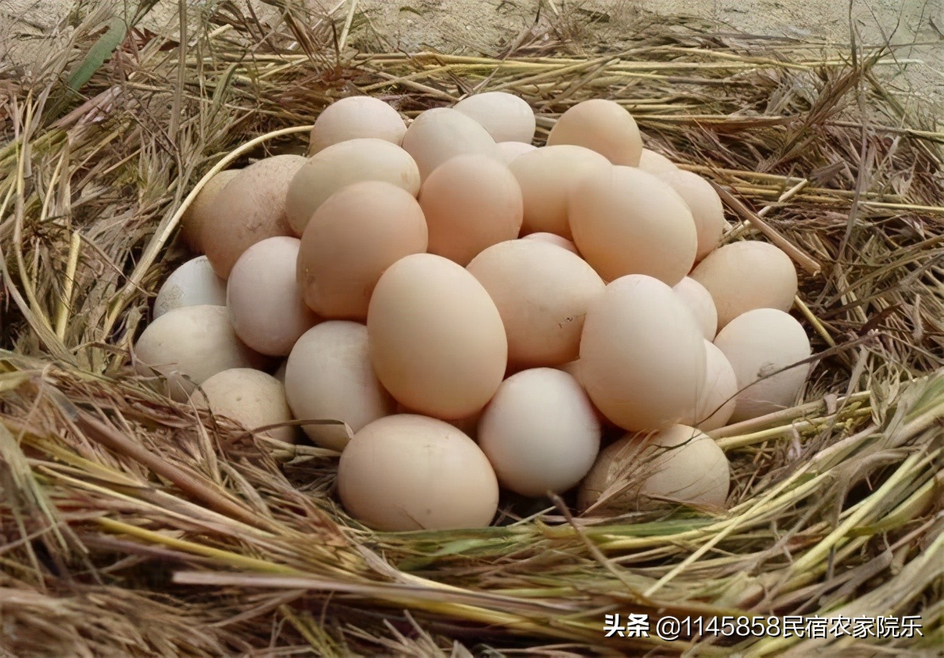 蓟县盘山农家山庄,盘山玉环山庄