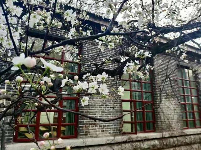 我看到真实的曲阜师范大学――有灯光的地方就有人学习