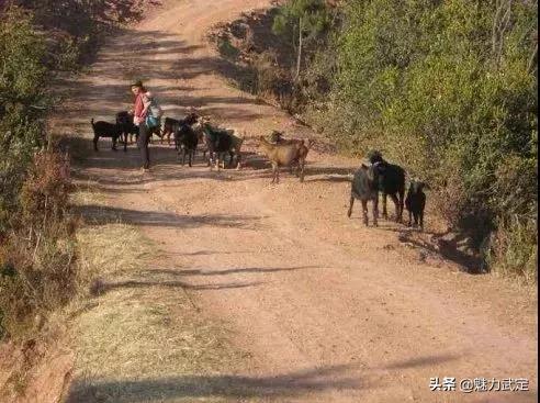 武定土司府,环州土司府遗迹