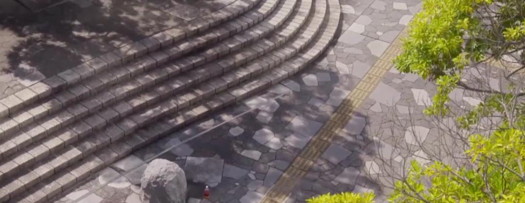 豆瓣9分的岛国作品，这“不良少年”实力吊打国产油腻“霸总！”