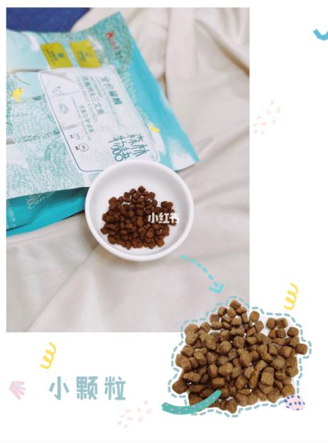 小红书推荐猫粮,猫粮小红书达人