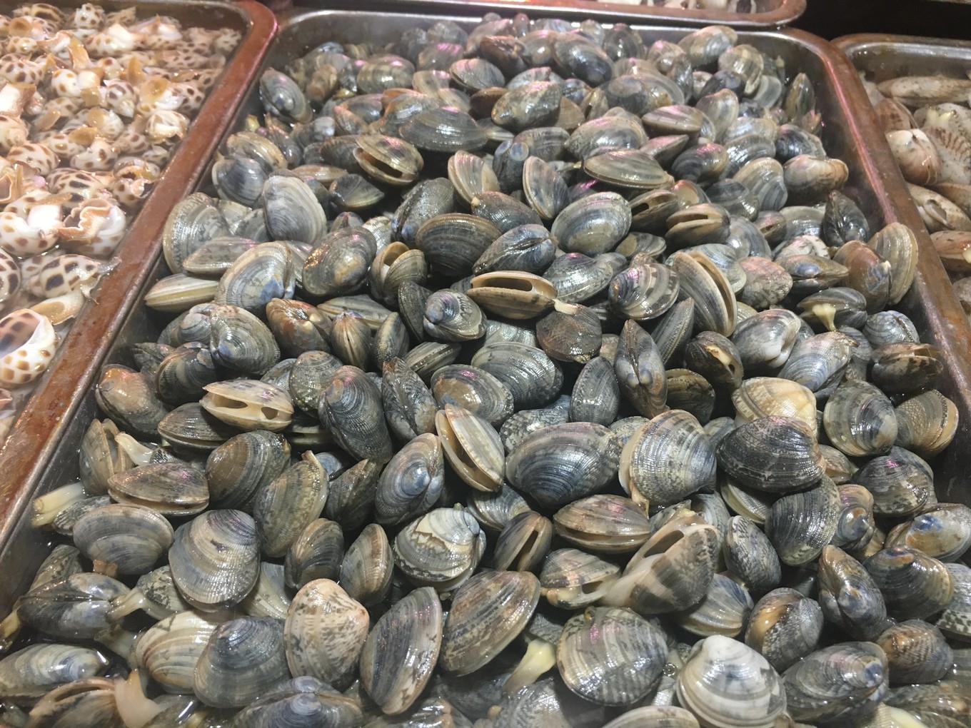 三亚旅游吃海鲜防宰攻略,三亚蜈支洲岛吃海鲜攻略