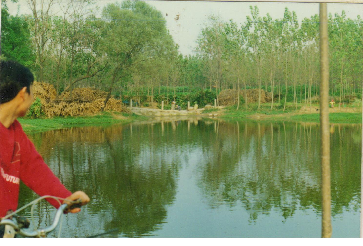西平宋集淤泥河,西平淤泥河