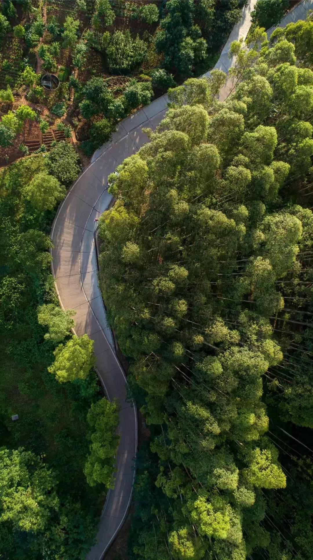 全球最大的城市森林公园,全球最绿色的城市