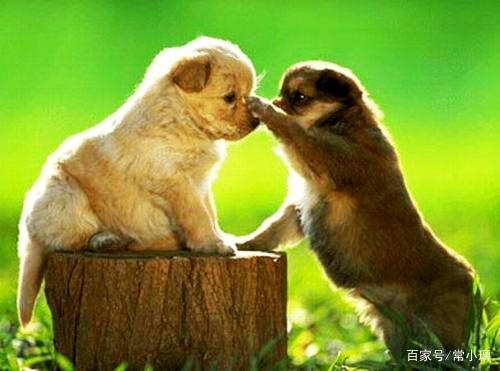 谁也不会对你的痛苦感同身受,没人能对你的痛苦感同身受