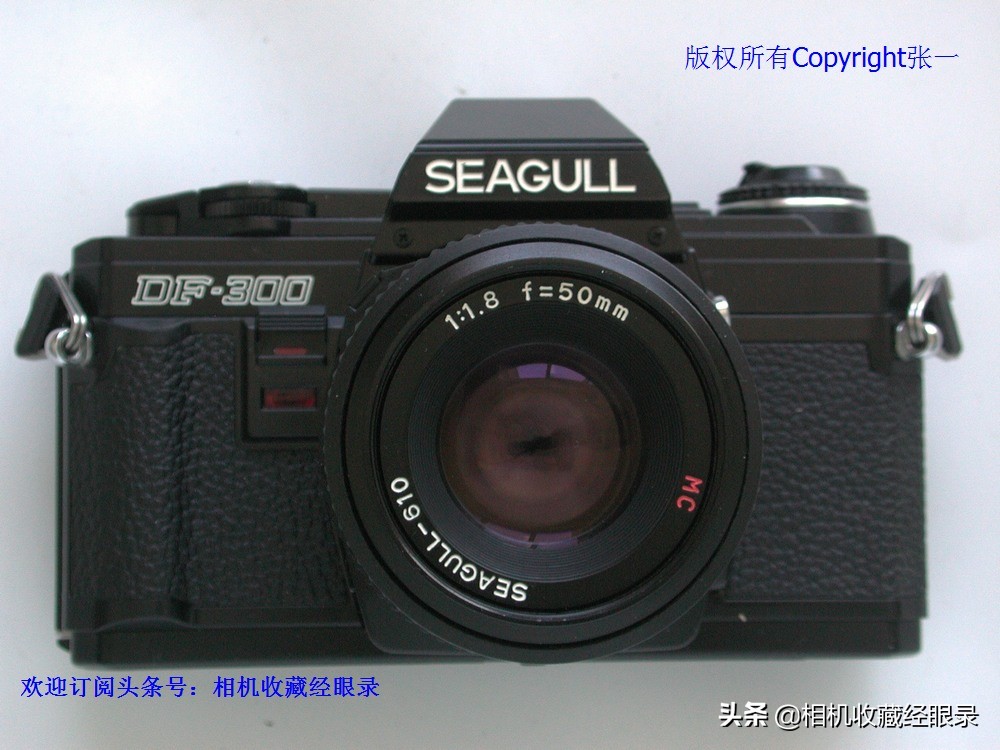 海鸥seagull相机,上海海鸥照相机所有型号序列号