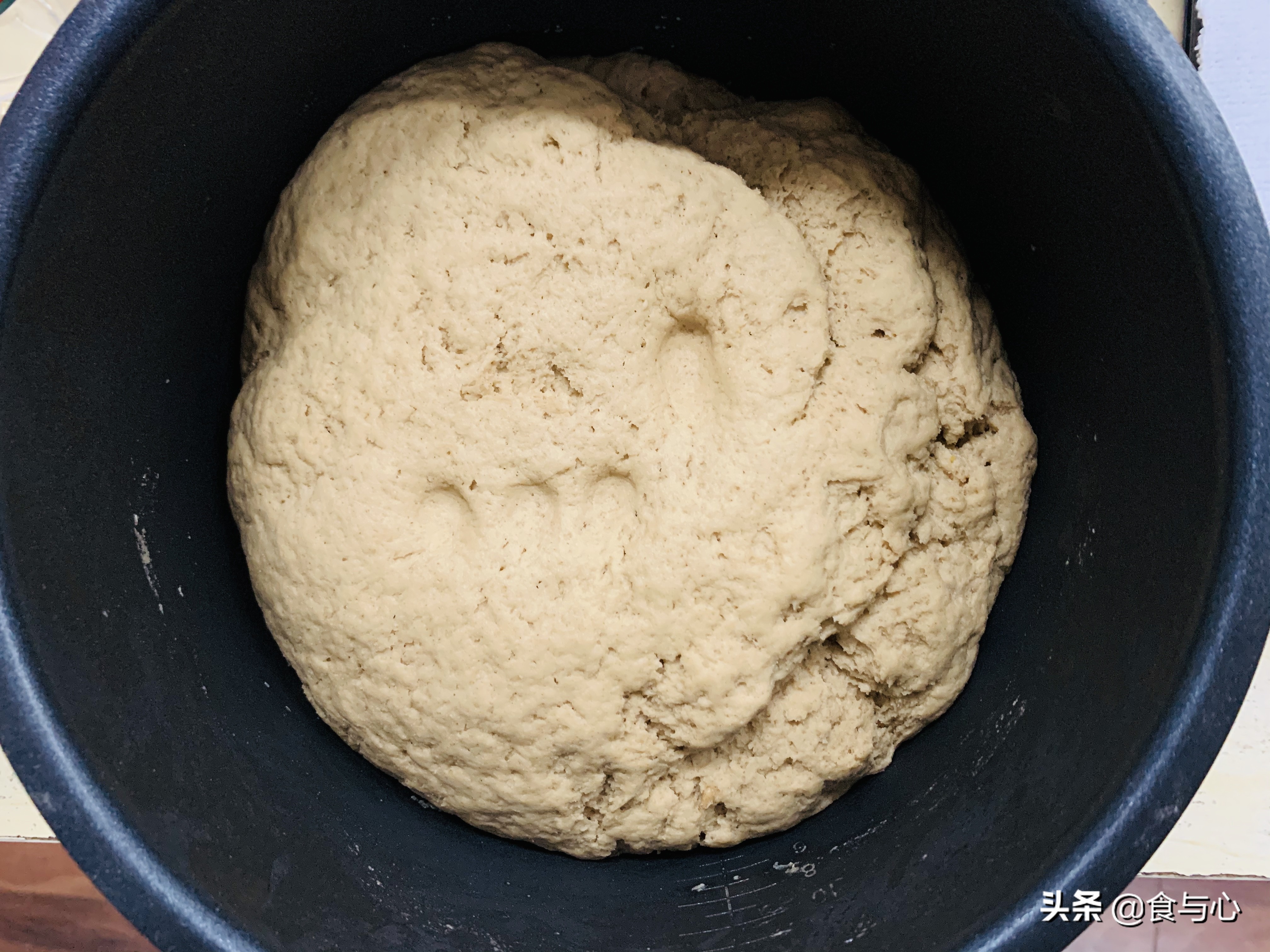 干酵母乳酸菌开花馒头做法,乳酸菌代替酵母做馒头