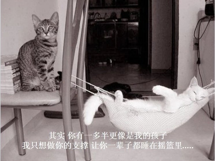 我只想说声爱你,只想再爱你一次