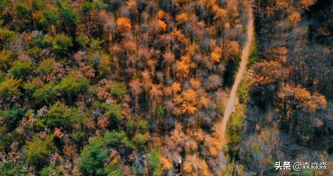 秦岭赏秋怎么玩才好玩呢,大秦岭山旅游攻略