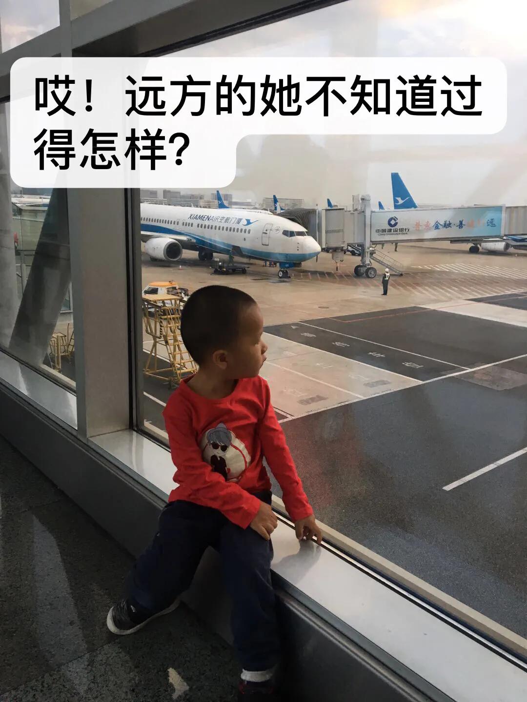 广州长隆最全游玩攻略亲子,长隆旅游攻略亲子