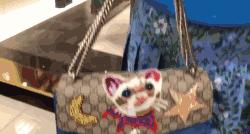 买大牌买到让总裁亲手写感谢信？这位日本女土豪，被封GUCCI女王