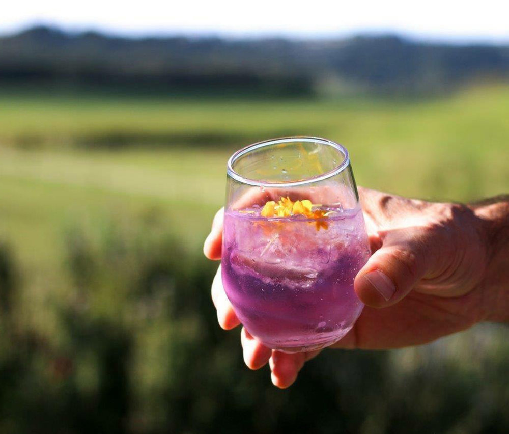 荷兰金酒怎么喝好喝,金酒一般怎么喝