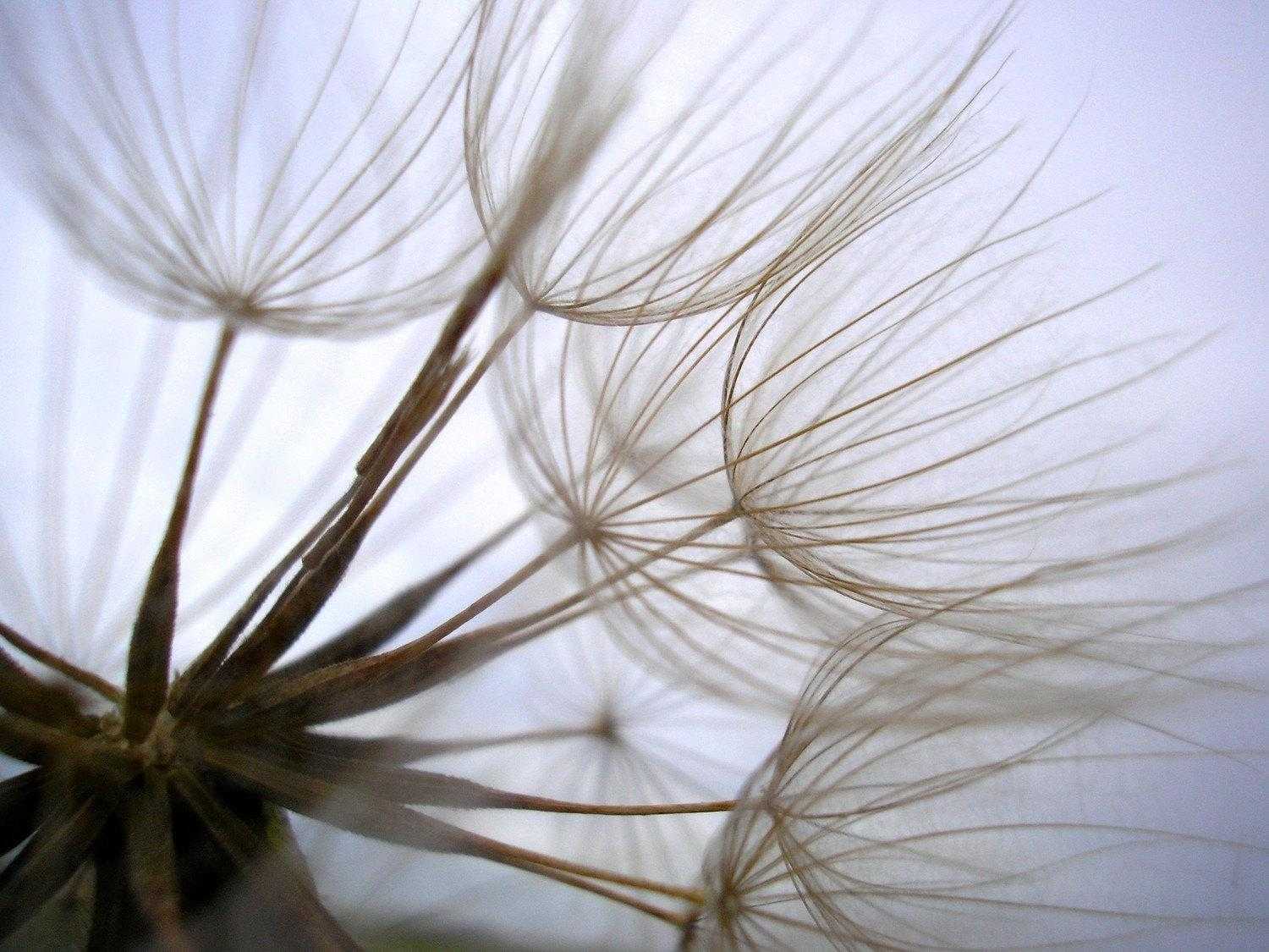 「欲望都市」爱喝酒的姑娘,太撩人