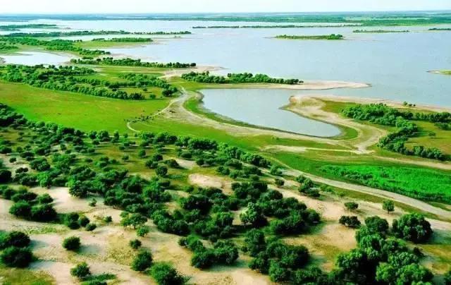 林业生态旅游科普,林草科普