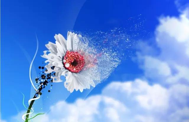 初中课内必背文言文汇总,小学初中课内文言文汇总