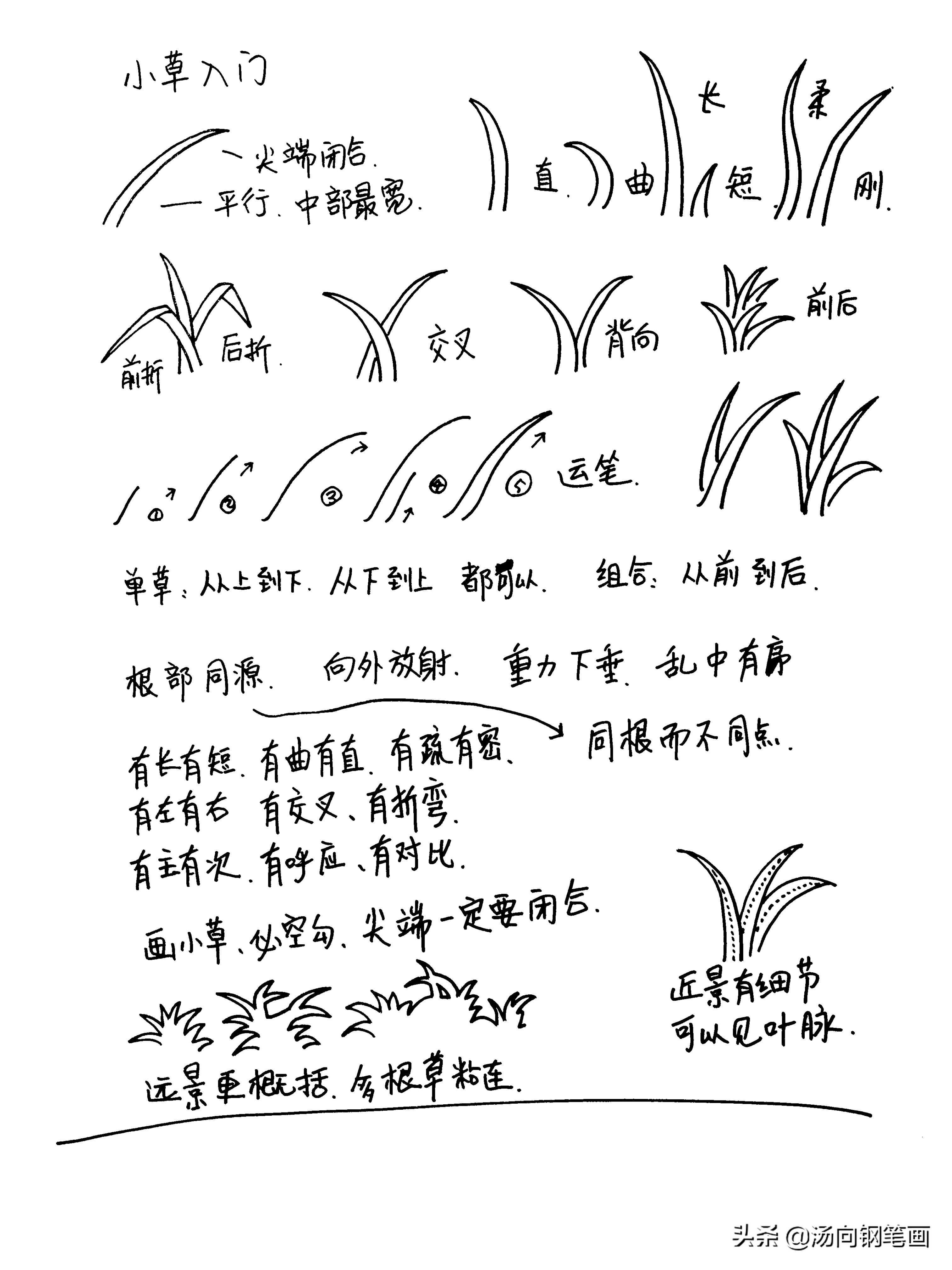 钢笔画零基础入门教程801,钢笔画教程零基础入门