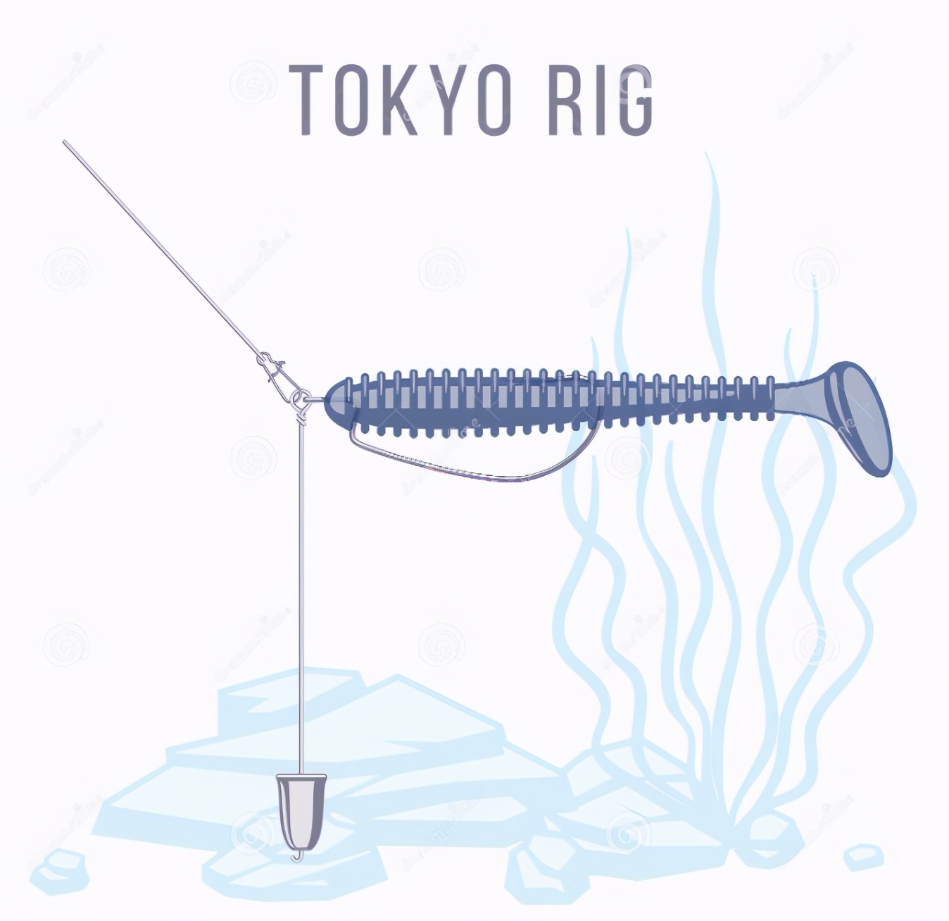路亚十种钓组,日本路亚流行钓组