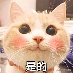 mpg转换mp4后怎么缩小,mp4转换mpg格式后清晰度下降