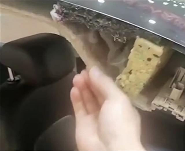 帕萨特减配到底有多严重,帕萨特为什么销量还是那么好