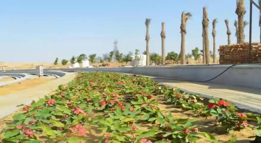 花3000亿赌国运:埃及为什么借钱也要建新首都?