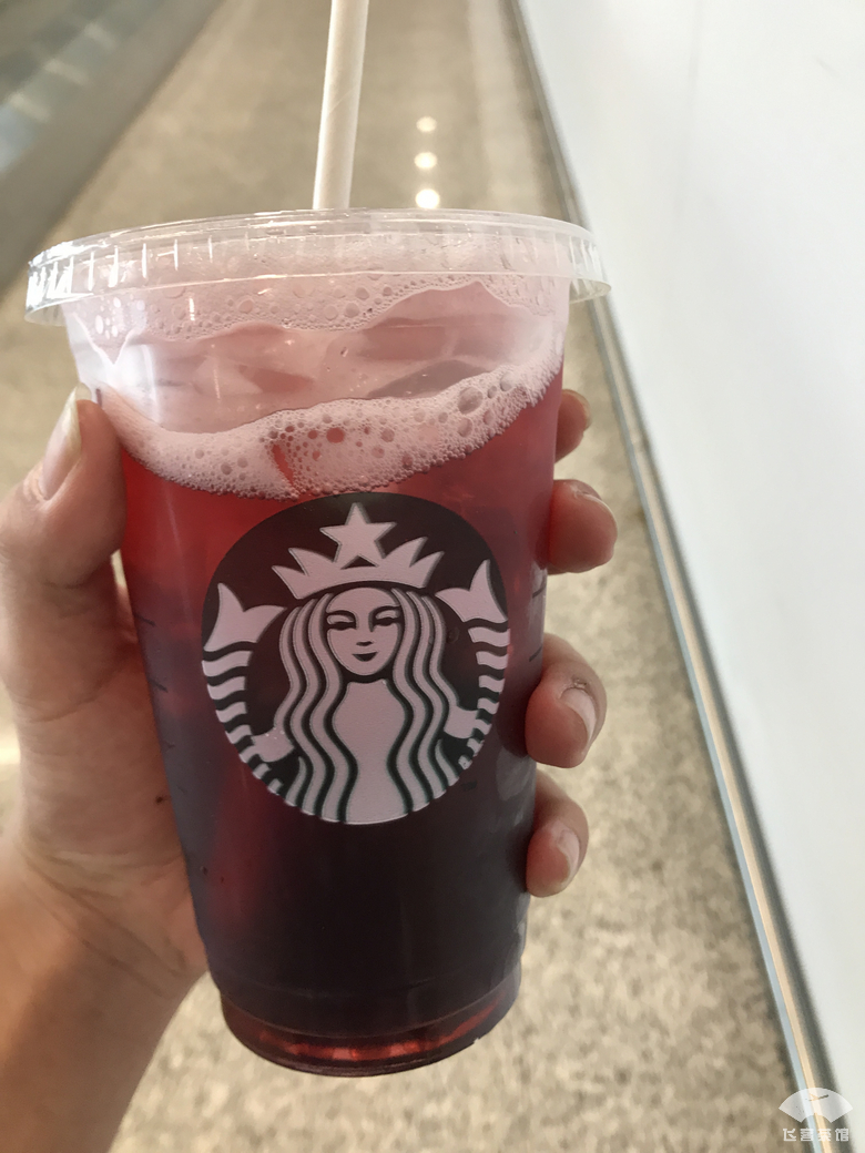 可能再难坐到的港航350！香港飞上海，几乎全程贴着海岸线飞行