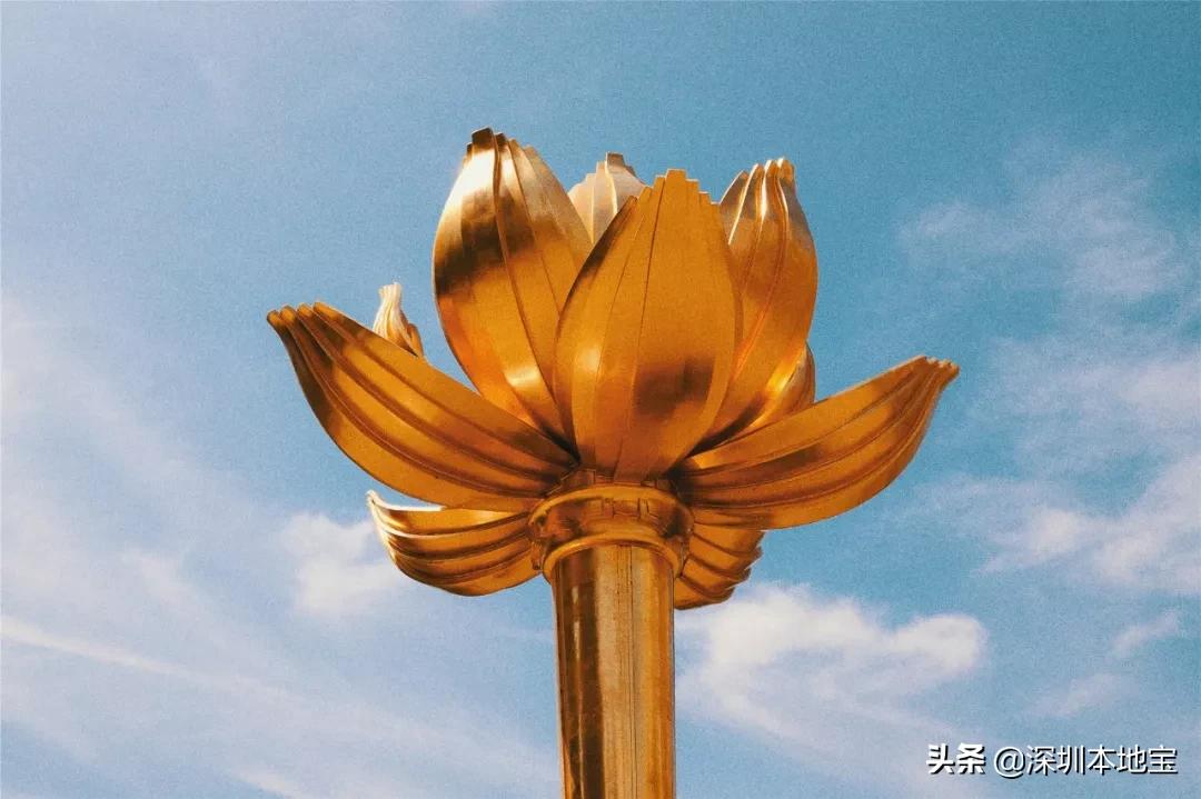 别错过！澳门吃喝玩乐全攻略替你准备好了！深圳出发只需1小时