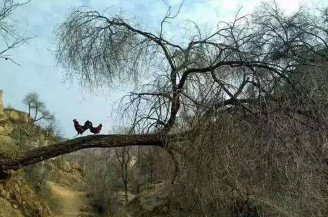 山西必去的十个古村,山西那些鲜为人知的古村