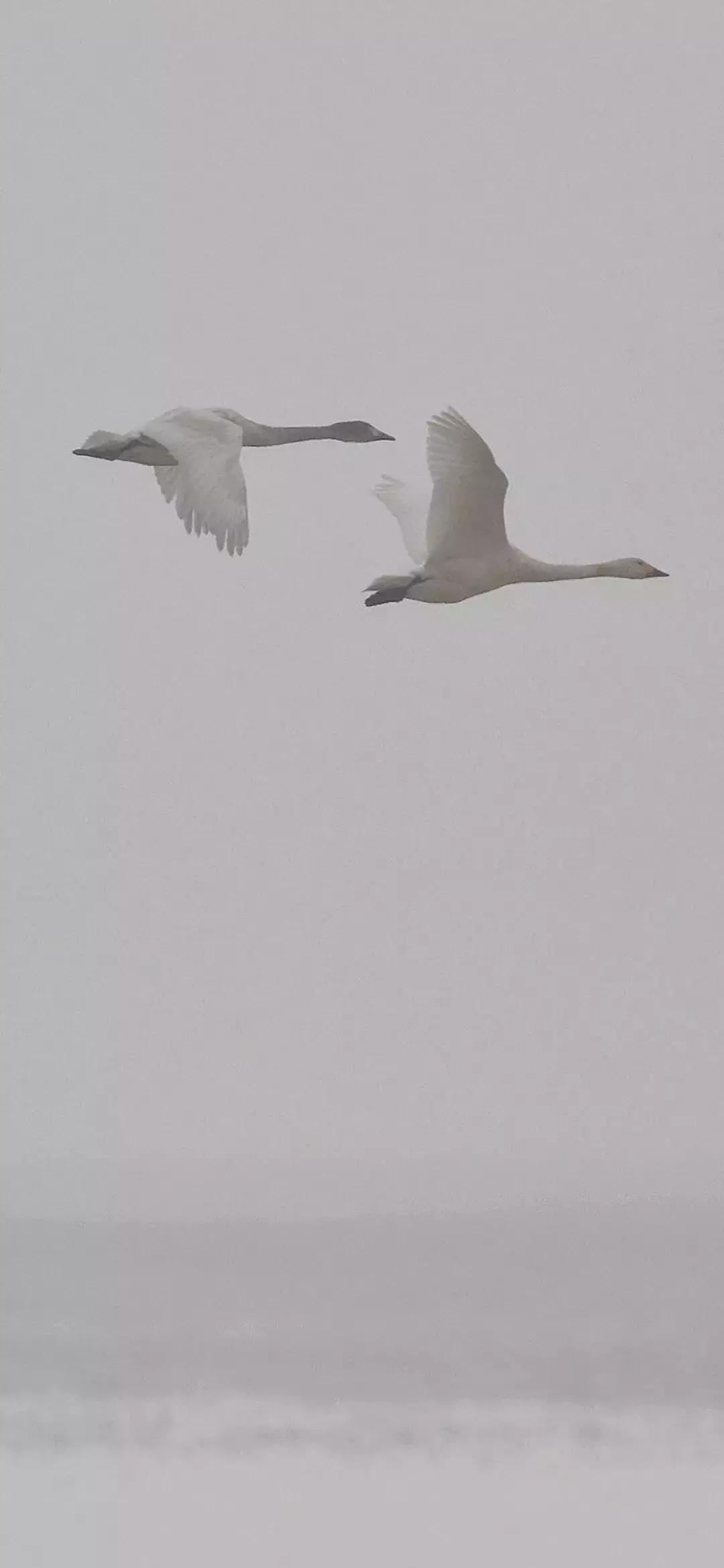 杭州西湖隐于山林之间的酒店,西湖云端酒店