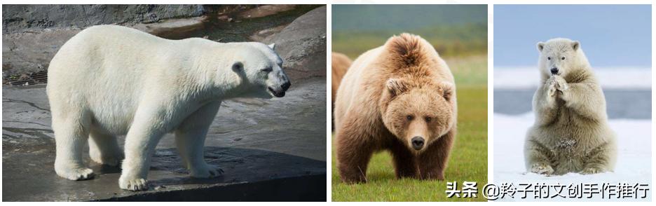 青草香,浆果甜,两只小熊来报到!布艺小熊的教程,收喽