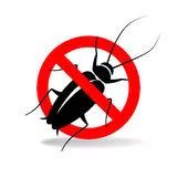 橱柜长了霉怎么处理,橱柜生霉生虫