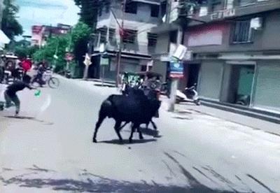 搞笑｜代购被举报未隔离，结果一查根本没有出境记录