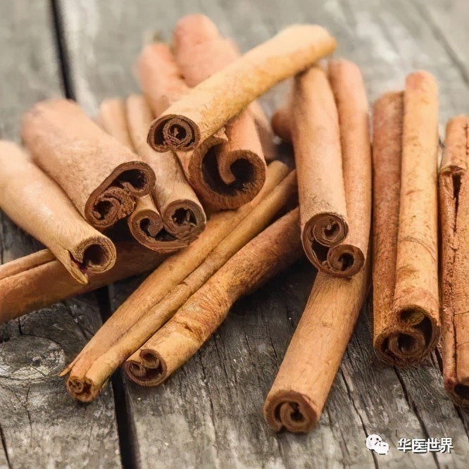 最好的中医治疗卵巢巧克力囊肿,卵巢巧克力囊肿治疗的好方法