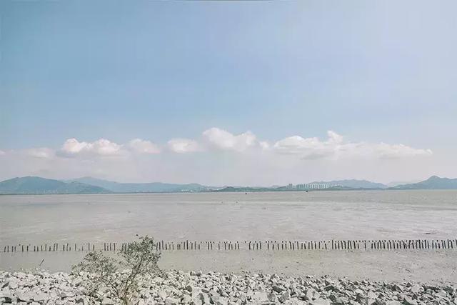 深圳市十大游玩攻略,深圳四天游攻略最佳路线