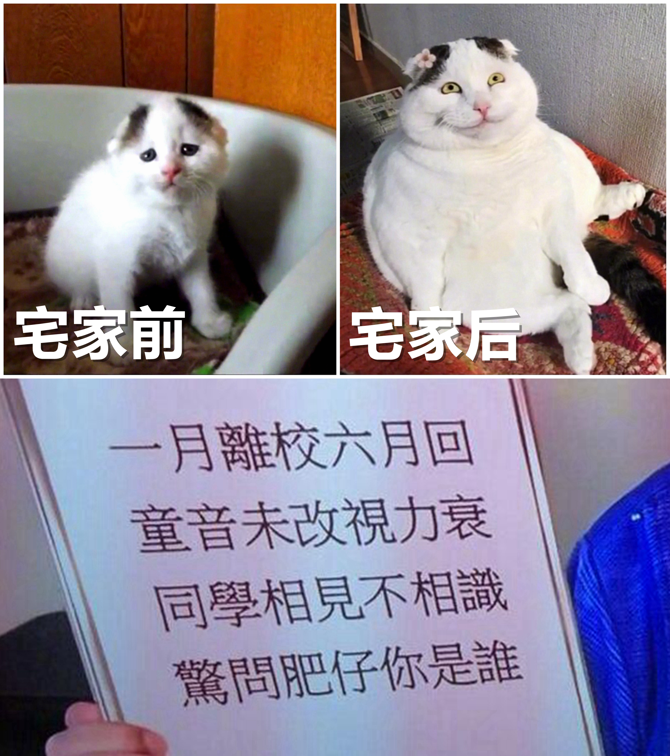 索尼55寸x90j电视深度评测体验,2019索尼x9000h电视评测