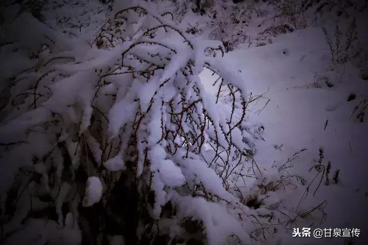 延安2019年第一次下雪是什么时候,延安初雪的时候